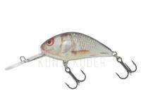 Wobbler Salmo Hornet H5S - Real Dace BESTEN KUNSTKODER Angelshop