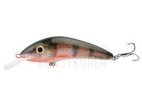 Wobbler Hunter Instinct 7.5cm F - RP BESTEN KUNSTKODER Angelshop