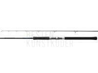 Rute Shimano Salty Advance Spinning 3.05m 10'0" Shore JIG100g 2pc