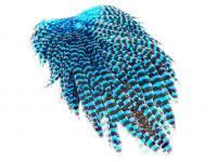 FutureFly Signature Hen Saddle - King Fisher Blue Grizzly BESTEN KUNSTKODER Angelshop