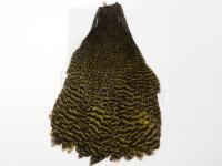 Hareline Dubbin Hen Cape - 179 Grizzly Dyed Olive
