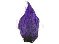 Cock Cape A Dyed - Purple BESTEN KUNSTKODER Angelshop