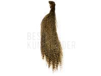 Balg Ewing Grizzly Half Capes - Tan BESTEN KUNSTKODER Angelshop