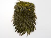 Hareline Dubbin Hen Saddle - 179 Grizzly Dyed Olive