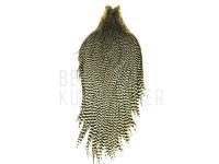 Balg Keough Tyer`s Grade Cape - Grizzly BESTEN KUNSTKODER Angelshop