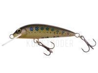 Wobbler Wob-Art Kiełb (Gobio gobio) 5cm 2.5g F DR - 06 BESTEN KUNSTKODER Angelshop