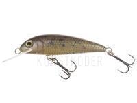 Wobbler Wob-Art Kiełb (Gobio gobio) 6.5cm 5g F DR - 54 BESTEN KUNSTKODER Angelshop
