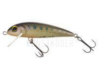 Wobbler Wob-Art Kiełb (Gobio) XL 7.5cm 9g FSR - 06 BESTEN KUNSTKODER Angelshop