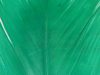 Condor - bright green BESTEN KUNSTKODER Angelshop