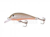 Wobbler Krakusek NR.4 Floating - SP BESTEN KUNSTKODER Angelshop