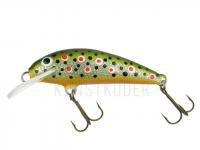 Wobbler Krakusek NR.6 4,5cm floating - TRP BESTEN KUNSTKODER Angelshop