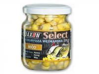 Corn Select - vanilla BESTEN KUNSTKODER Angelshop