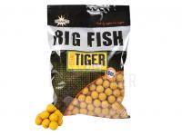 Dynamite Baits Big Fish Sweet Tiger & Corn Boilie BESTEN KUNSTKODER Angelshop