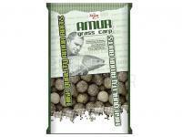 Carp Zoom Amur Big Catch Boilies BESTEN KUNSTKODER Angelshop