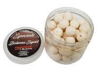 Massive Baits Special Bolsena Squid Pop Up