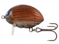 Wobbler Salmo Lil`Bug BG2F - May Bug BESTEN KUNSTKODER Angelshop