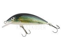 Wobbler Hegemon Lucky 6cm - Jazgarz (Ruffe) BESTEN KUNSTKODER Angelshop
