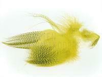 Mallard Barred Flank 020 - Mayfly Yellow BESTEN KUNSTKODER Angelshop
