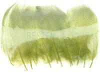 Mallard Duck Drake Grey Flank Medium 4-5cm - Olive / Black