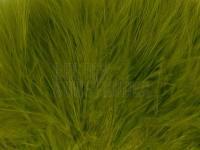 Federn Wapsi Marabou Blood Quills - light olive BESTEN KUNSTKODER Angelshop