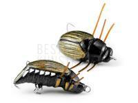 Wobbler Imago Lures Maybug 3.5F Flow - BK BESTEN KUNSTKODER Angelshop
