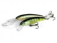 Salmo Minnow