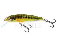 Wobbler Salmo Minnow M6S 6cm - Holo Real Minnow (HRM) BESTEN KUNSTKODER Angelshop