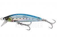 Meeresköder Savage Gear Gravity Minnow 5cm 4.3g Sinking - Ghost Sardine PHP BESTEN KUNSTKODER Angelshop