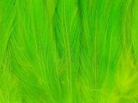 Neck Hackle Strung - fl.chartreuse BESTEN KUNSTKODER Angelshop