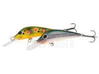 Neue Wobbler, Gummifische, japanische Haken