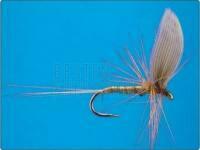 Olive Dun no.14 BESTEN KUNSTKODER Angelshop