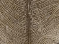 Ostrich Herl - 041 Tan BESTEN KUNSTKODER Angelshop