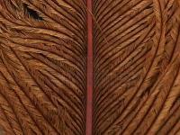 Ostrich Herl - 047 Brown BESTEN KUNSTKODER Angelshop