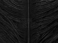Ostrich Herl - 100 Black BESTEN KUNSTKODER Angelshop