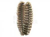 Ozark Turkey Quill 199 - Muddler BESTEN KUNSTKODER Angelshop