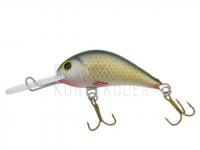 Wobbler Gloog Parys 50NF - NS BESTEN KUNSTKODER Angelshop