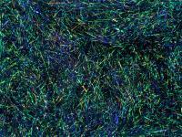 Peacock Dubbing - Dark Violet / Red Effect BESTEN KUNSTKODER Angelshop