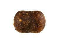 Pellets Jaxon Method Feeder 50g 8/10 mm - Honey BESTEN KUNSTKODER Angelshop