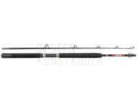Rute Penn Warfare Boat 1.80m M 30lb 2Sec Conv