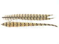 Pheasant Tail - Natural X BESTEN KUNSTKODER Angelshop