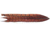Pheasant Tail - Rusty BESTEN KUNSTKODER Angelshop