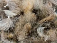 CDC Puffs 0.5g - Natural Dark Grey Khaki BESTEN KUNSTKODER Angelshop