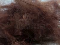 Federn FMFly Goose CDC 1G - Dyed Brown BESTEN KUNSTKODER Angelshop