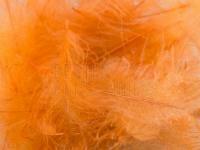 Federn FMFly Goose CDC 1G - Dyed Orange Insect BESTEN KUNSTKODER Angelshop