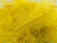 Federn FMFly Goose CDC 1G - Dyed Pale Olive BESTEN KUNSTKODER Angelshop