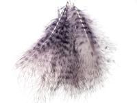 Feather Grizzly Marabou BESTEN KUNSTKODER Angelshop