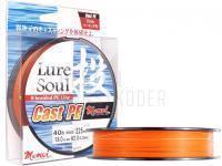 Momoi Lure Soul Cast P.E BESTEN KUNSTKODER Angelshop