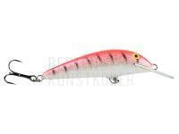 Wobbler Siek Roach PL7F-65 BESTEN KUNSTKODER Angelshop