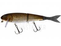 Köder Illex Blast Bone 190 SF 19cm 50.5g - RT Gold Carp BESTEN KUNSTKODER Angelshop