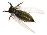 Naturköderimitationen Qu-on Namazemi 42mm 4.5g Floating - KMZ BESTEN KUNSTKODER Angelshop